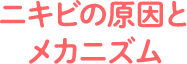 ニキビの原因とメカニズム